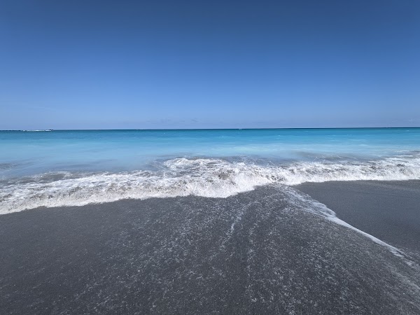Jupiter Dog Beach photo